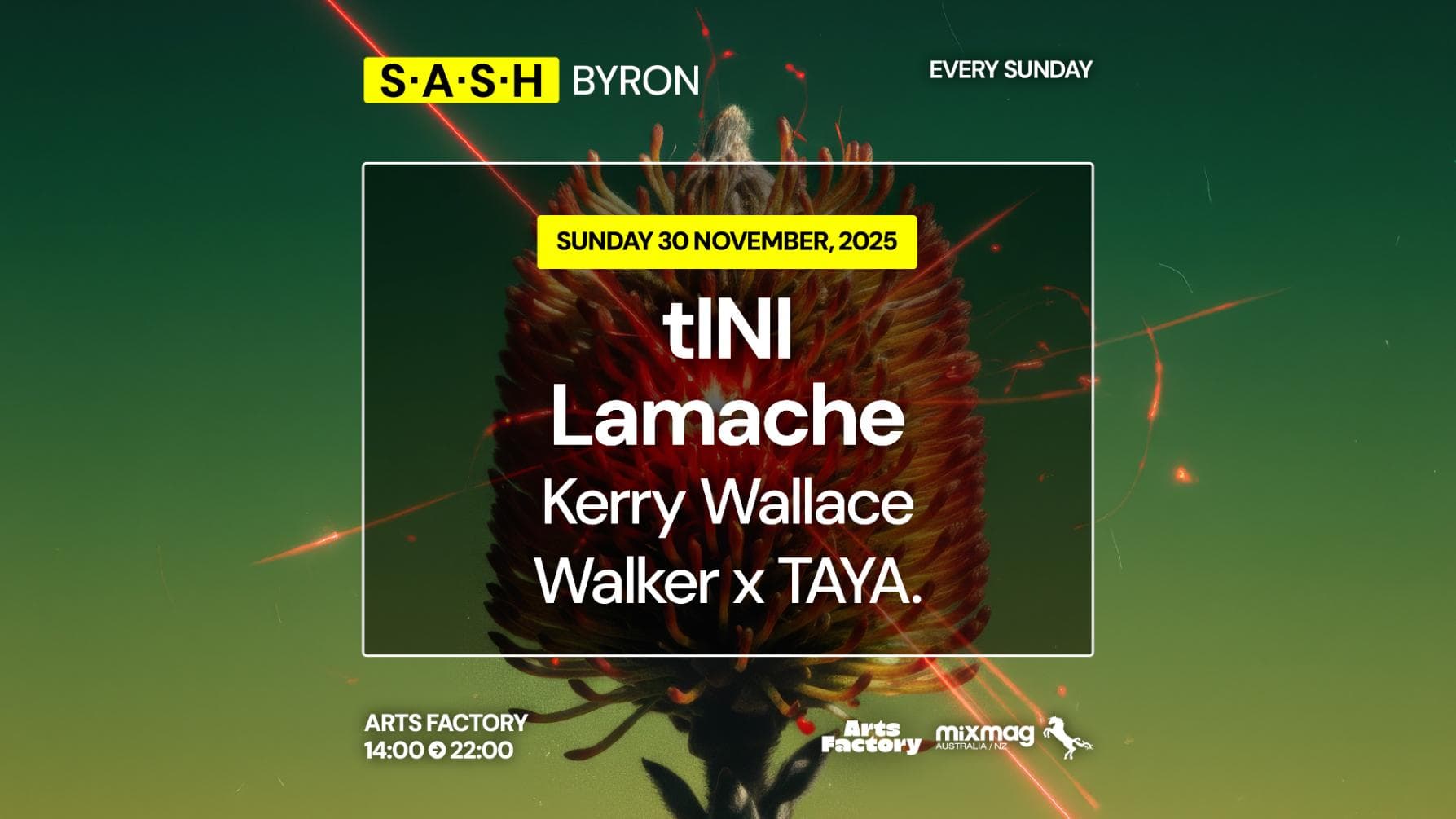 ★ S.A.S.H Byron ★ tINI ★ Lamache ★ Sunday 30th November ★