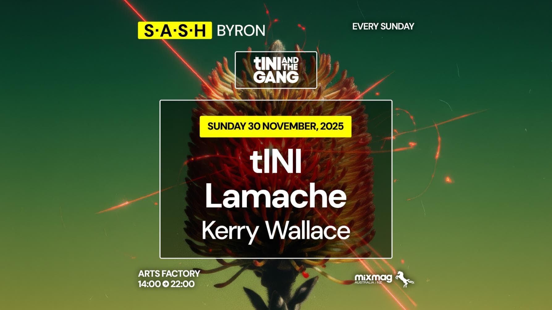 ★ S.A.S.H Byron ★ tINI & The Gang ★ Sunday 30th November ★
