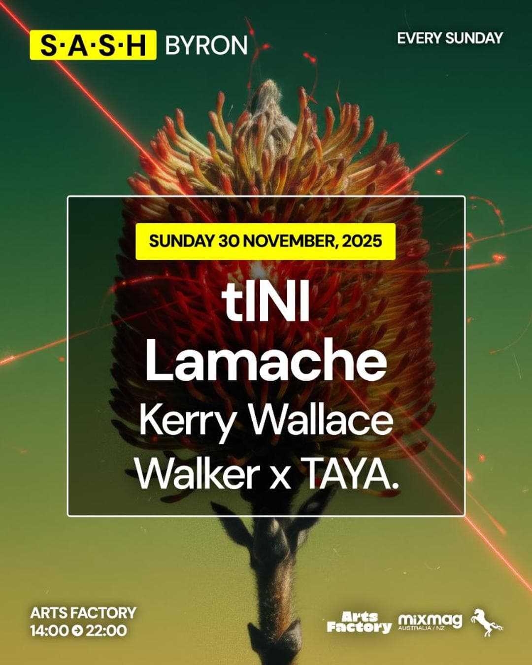 ★ S.A.S.H Byron ★ tINI ★ Lamache ★ Sunday 30th November ★