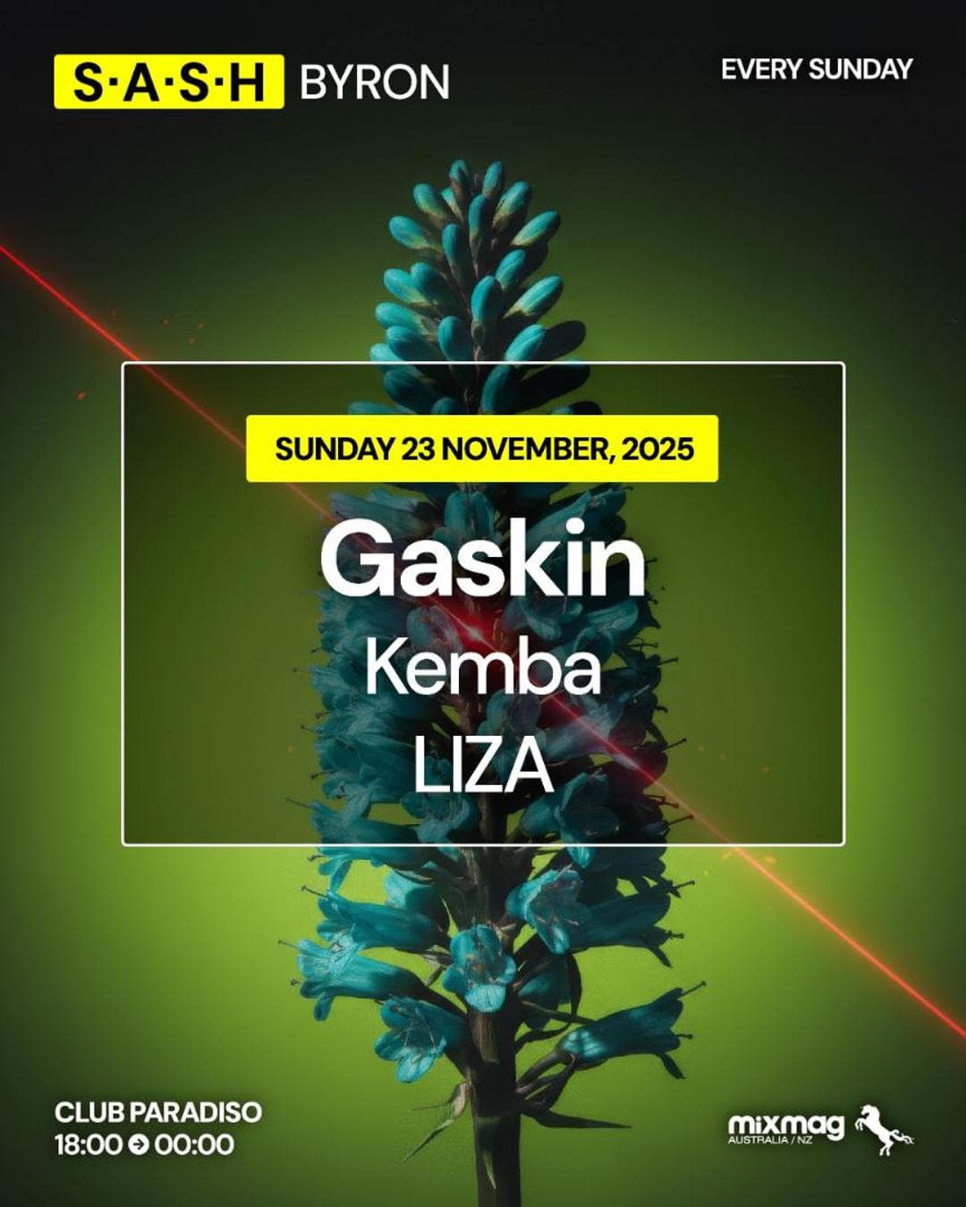 ★ S.A.S.H Byron ★ Gaskin ★ Sunday 23rd November ★