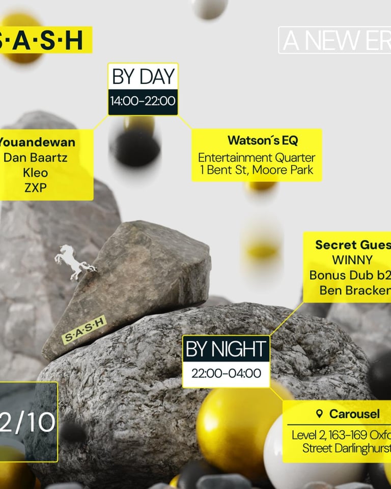 S.A.S.H by Day & Night Youandewan Secret Guest 22nd October