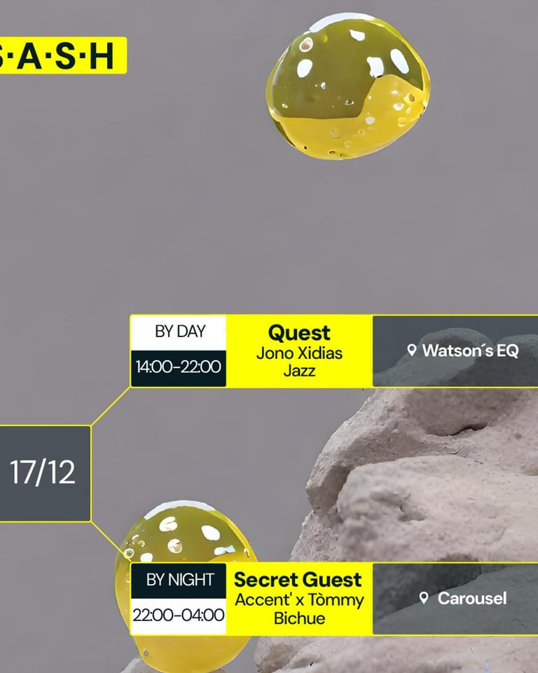 S.A.S.H by Day & Night Quest Secret Guest Sunday 17th December